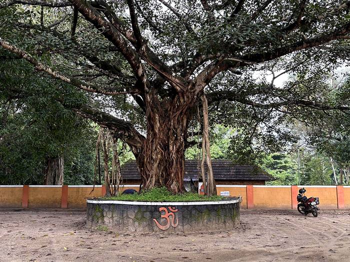ക്ഷേത്രമുറ്റത്തെ ആൽത്തറ